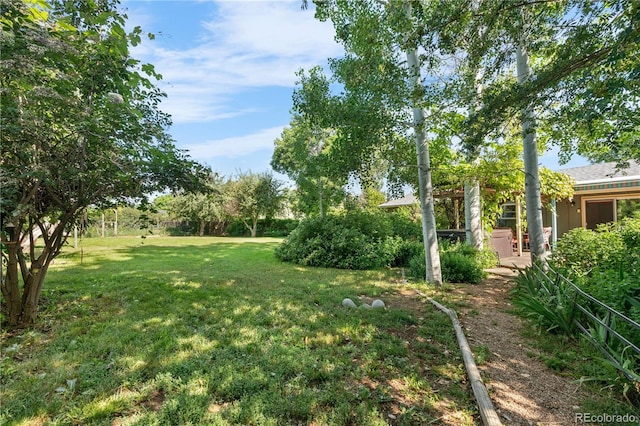 1315 Tipperary St, Boulder, CO 80303 - view of green lawn