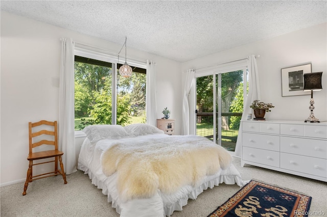 1315 Tipperary St, Boulder, CO 80303 - bedroom with light carpet, access to outside, and a textured ceiling