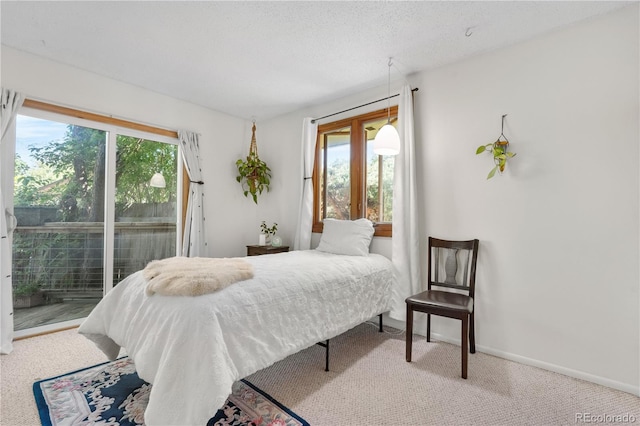 1315 Tipperary St, Boulder, CO 80303 - bedroom with multiple windows, access to outside, and carpet flooring