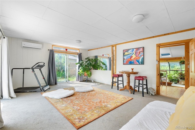 1315 Tipperary St, Boulder, CO 80303 - workout area with a wall mounted air conditioner, carpet flooring, and plenty of natural light
