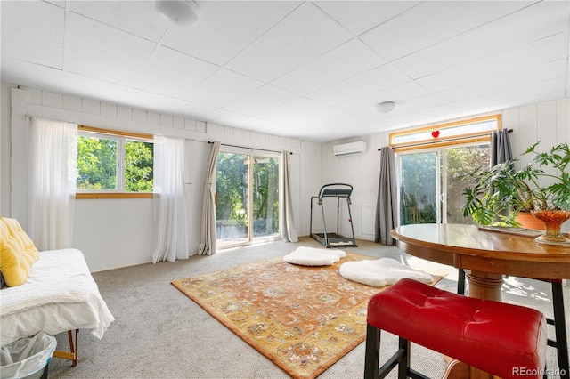 1315 Tipperary St, Boulder, CO 80303 - carpeted living room with a wall unit AC and healthy amount of natural light