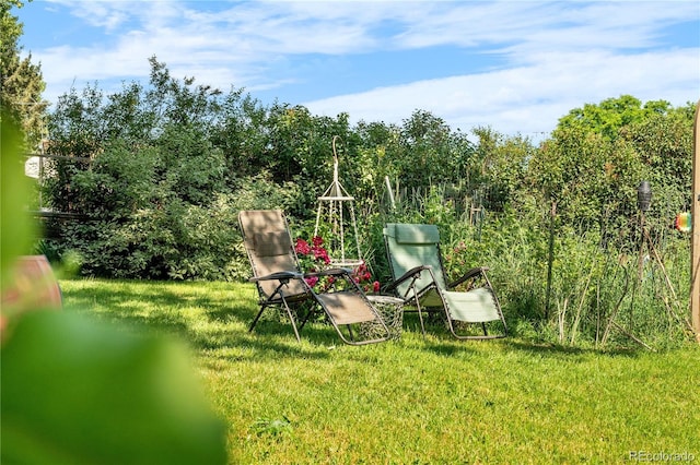 1315 Tipperary St, Boulder, CO 80303 - view of grassy yard