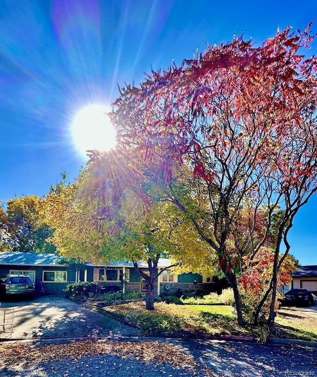 1315 Tipperary St, Boulder, CO 80303 - photo 4