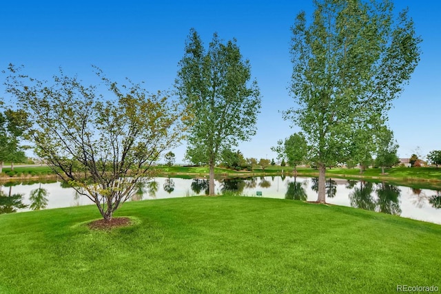 view of yard featuring a water view