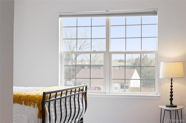 bedroom with multiple windows