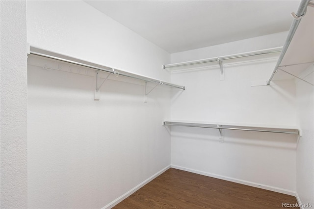 spacious closet featuring wood finished floors