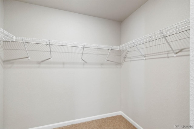 7207 Dolores Ave, Frederick, CO 80530 - photo 14