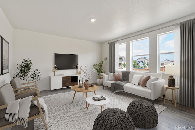 living room with wood-type flooring