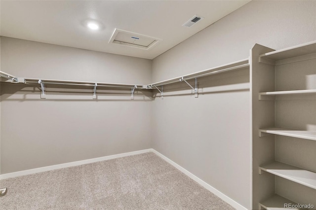 spacious closet with carpet floors