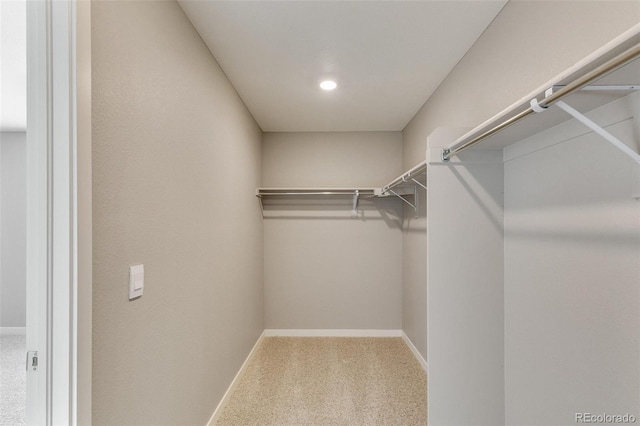 walk in closet featuring carpet floors