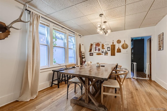 dining space featuring a chandelier, a drop ceiling, and light hardwood / wood-style floors