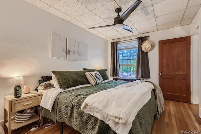 bedroom featuring ceiling fan, hardwood / wood-style floors, and a drop ceiling