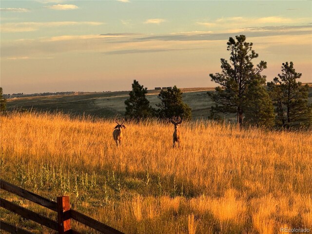 575 Howling Cir, Elizabeth, CO 80107 - photo 30