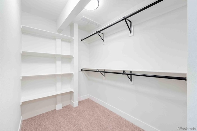 spacious closet featuring carpet flooring