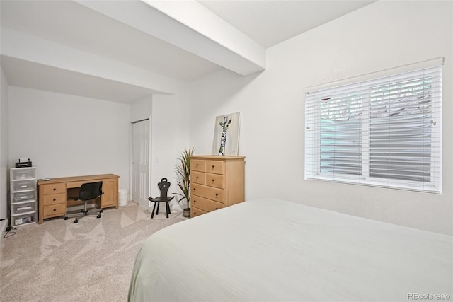 17912 Loverly Way, Monument, CO 80132 - bedroom featuring light colored carpet