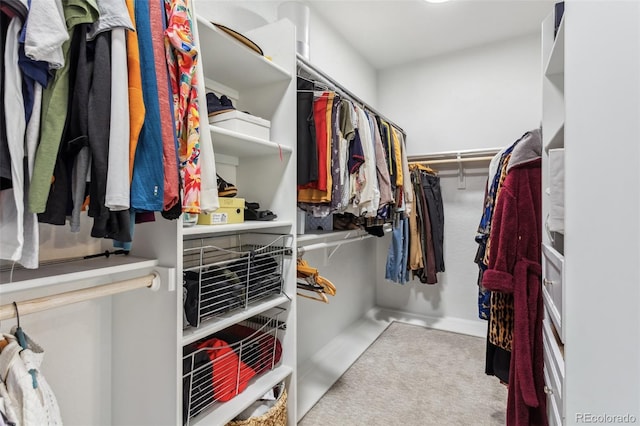 6338 Spotted Fawn Run, Littleton, CO 80125 - view of walk in closet