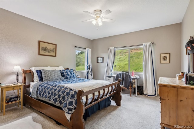 6338 Spotted Fawn Run, Littleton, CO 80125 - bedroom featuring multiple windows, light carpet, and a ceiling fan