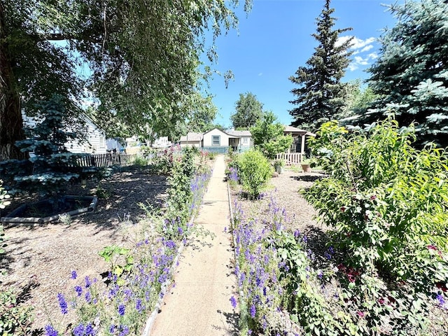1270 Havana St, Aurora, CO 80010 - photo 7