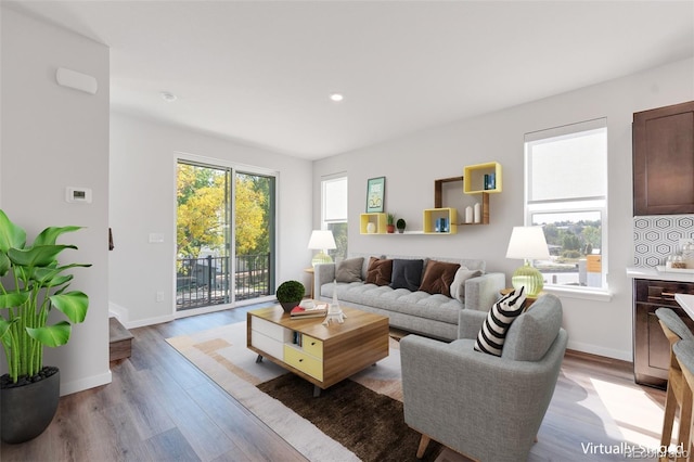 living room with wood-type flooring