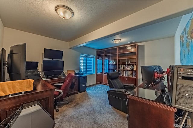 6006 Trappers Tale Ct, Colorado Springs, CO 80923 - photo 39