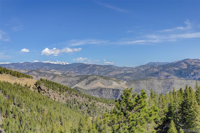180 Outpost Ln, Evergreen, CO 80439 - view of mountain backdrop with a forest