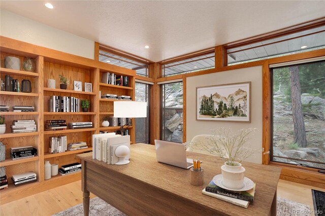 180 Outpost Ln, Evergreen, CO 80439 - office space featuring wood finished floors, plenty of natural light, and recessed lighting