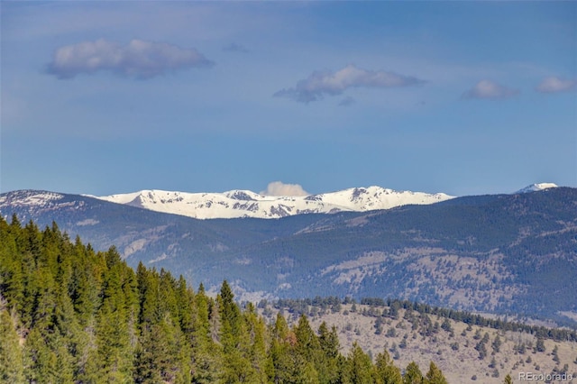 180 Outpost Ln, Evergreen, CO 80439 - view of mountain background