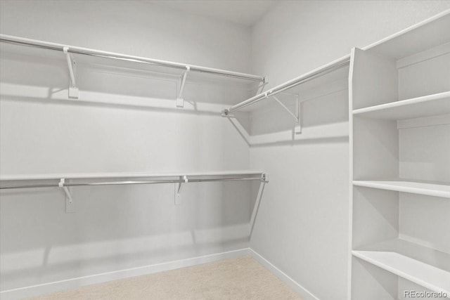 spacious closet with carpet flooring