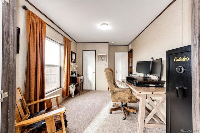 home office with carpet