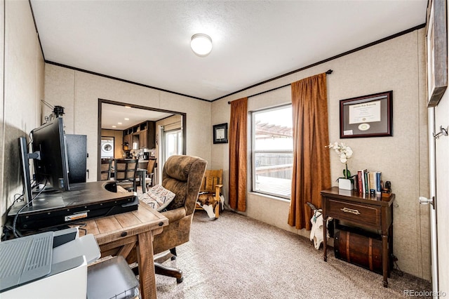 office with crown molding and carpet