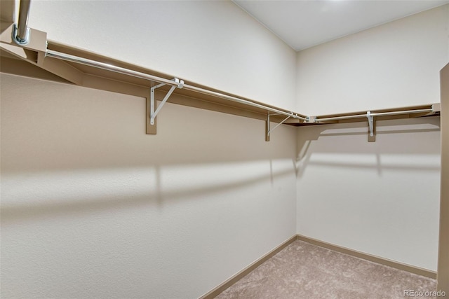 24593 E 34th Ave, Aurora, CO 80019 - spacious closet featuring carpet