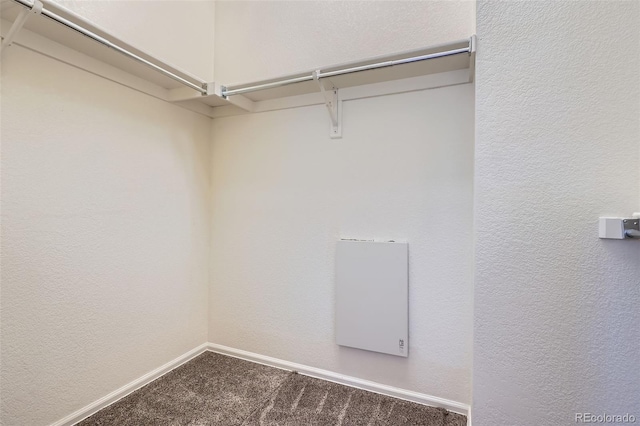 7831 S Addison Way, Aurora, CO 80016 - walk in closet with carpet