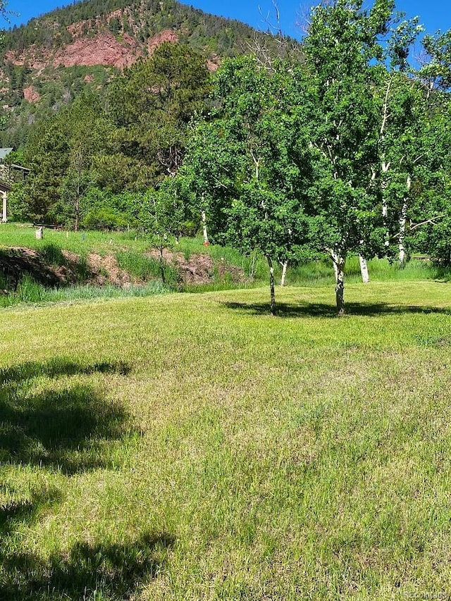 view of yard with a mountain view