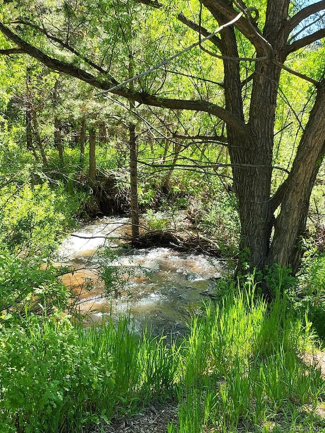 view of nature with a wooded view