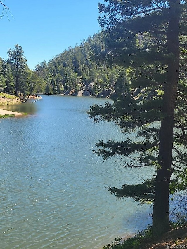 view of water feature featuring a forest view