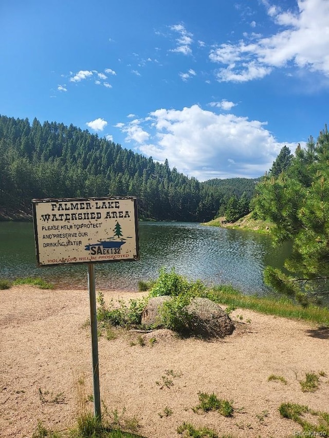 water view featuring a forest view