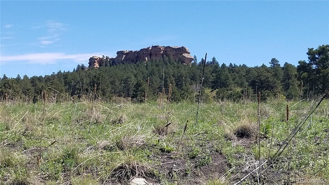 view of nature featuring a forest view