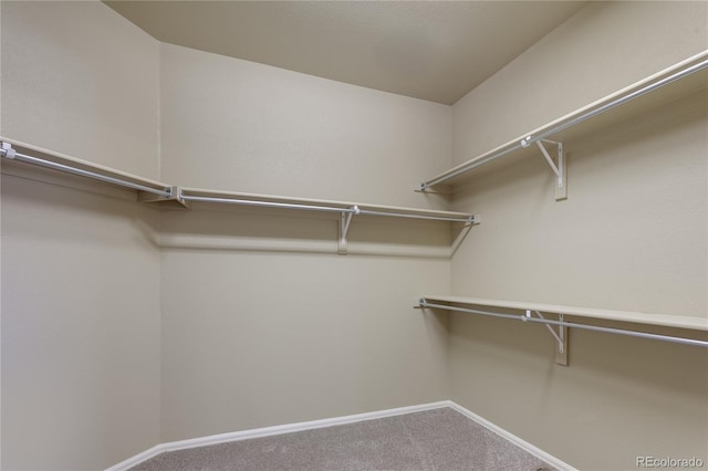 2913 Saratoga Trl, Erie, CO 80516 - photo 14