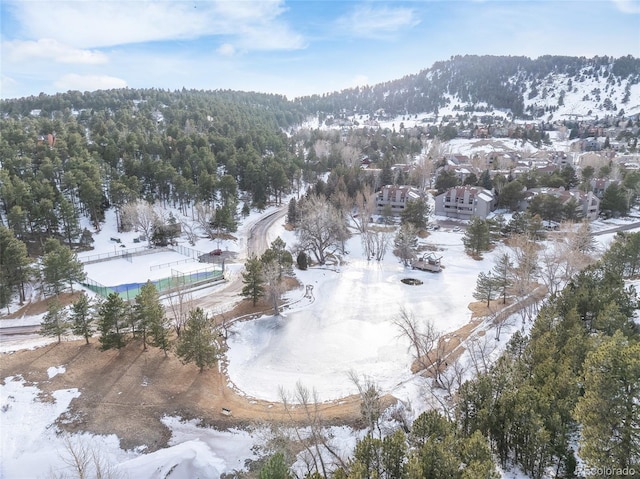 snowy aerial view featuring a mountain view