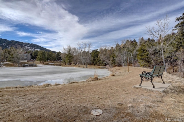 view of yard featuring a wooded view and a mountain view