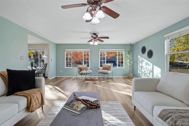 living room featuring plenty of natural light and light wood-type flooring