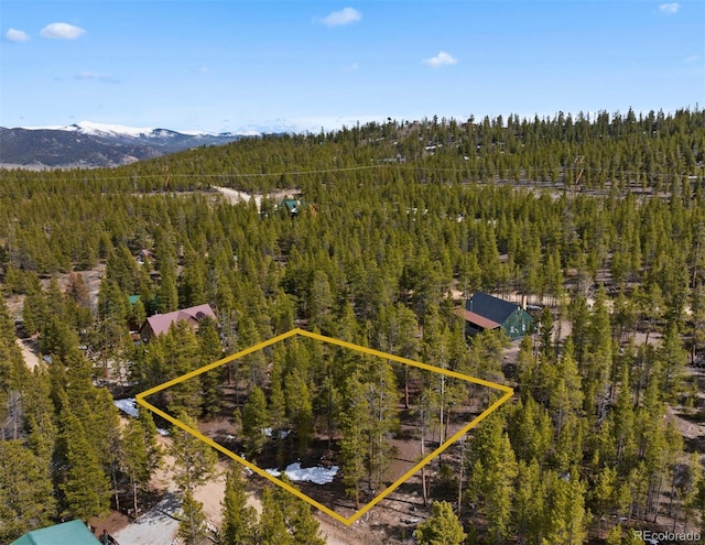 104 Juniper Dr, Twin Lakes, CO 81251 - photo 2