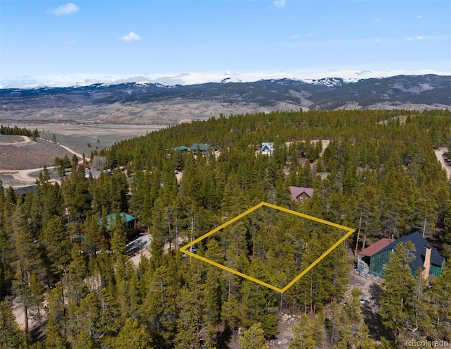 104 Juniper Dr, Twin Lakes, CO 81251 - photo 4