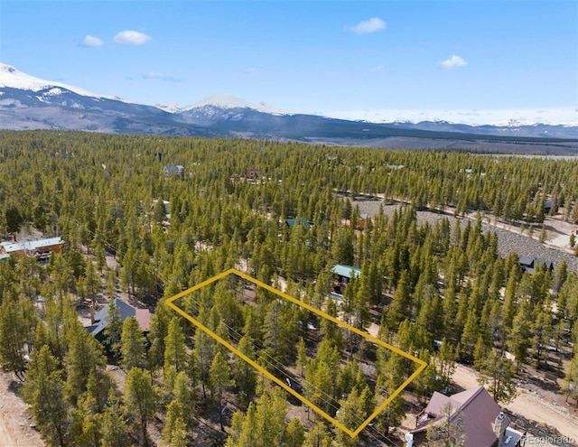 104 Juniper Dr, Twin Lakes, CO 81251 - photo 6