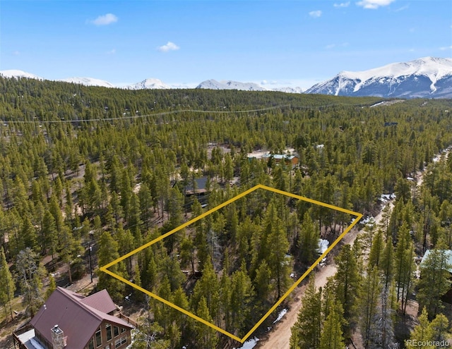 104 Juniper Dr, Twin Lakes, CO 81251 - photo 8