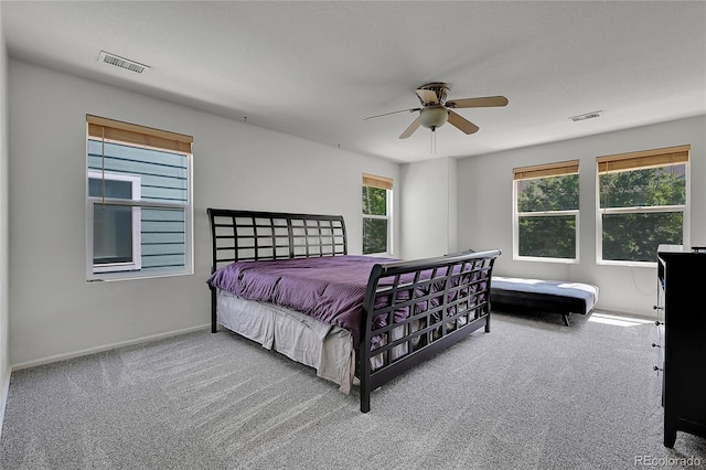 18947 E 57th Pl, Denver, CO 80249 - bedroom featuring carpet flooring, multiple windows, and a ceiling fan