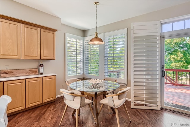 dining area featuring dark wood-type flooring