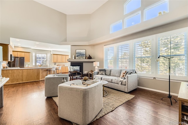 living room featuring a towering ceiling and dark hardwood / wood-style floors