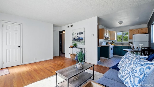 1930 S Prospect Ave, Colorado Springs, CO 80905 - living area with light wood-type flooring, baseboards, and a textured ceiling