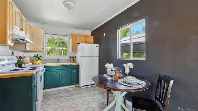 1930 S Prospect Ave, Colorado Springs, CO 80905 - kitchen featuring white appliances, under cabinet range hood, light flooring, a sink, and light countertops